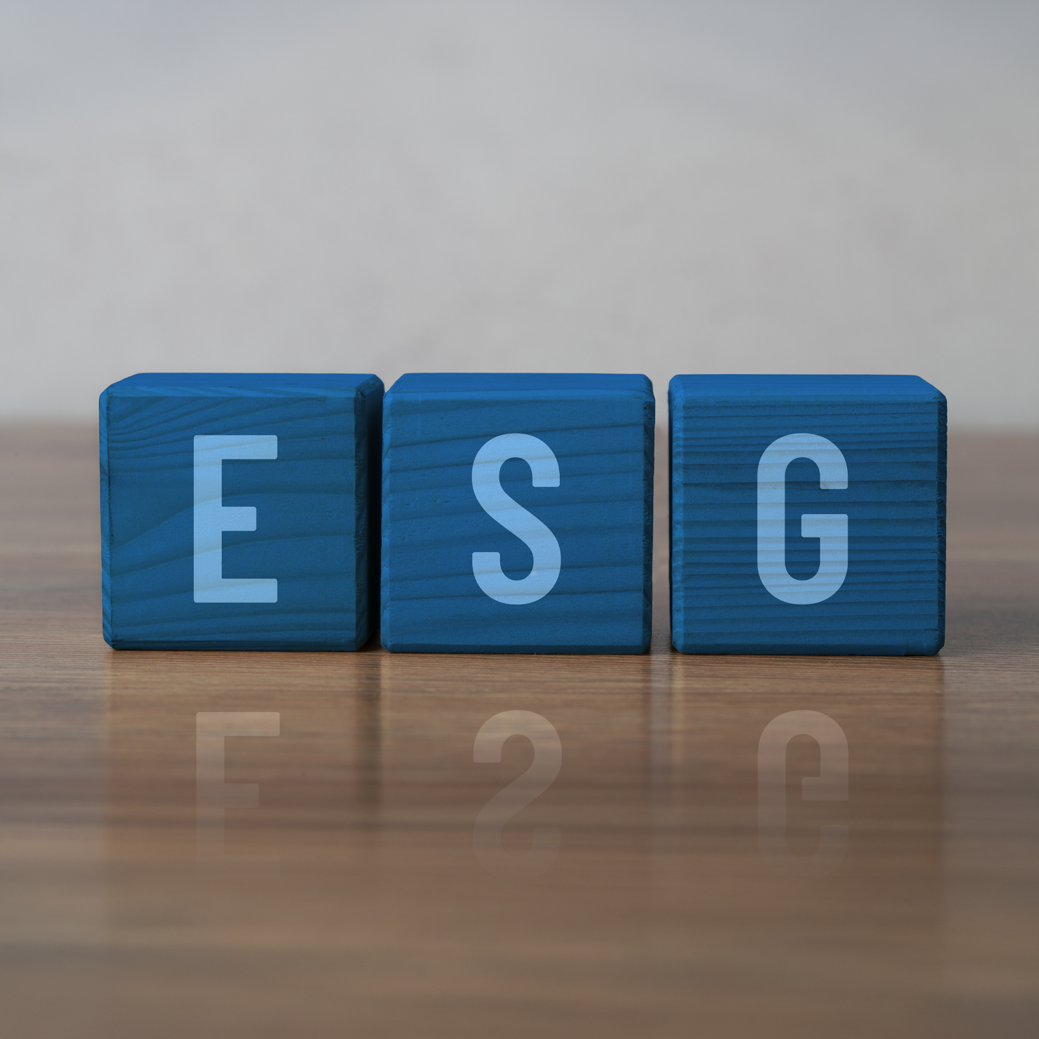 Selematic-group-ESG3